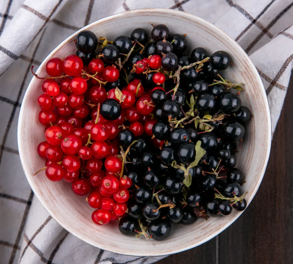 В мае смородине – непременно: подкормите куст простым раствором – уже скоро отблагодарит небывалым урожаем