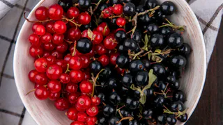 В мае смородине – непременно: подкормите куст простым раствором – уже скоро отблагодарит небывалым урожаем