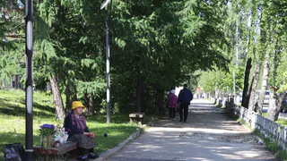 Удмуртию ждет комфортное тепло: синоптики дали прогноз погоды на 17 июня