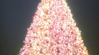 Состоялось торжественное открытие елочного городка на Набережной