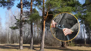 Увидел и не сдержался: рязанец едва не застрелил недруга в лесу