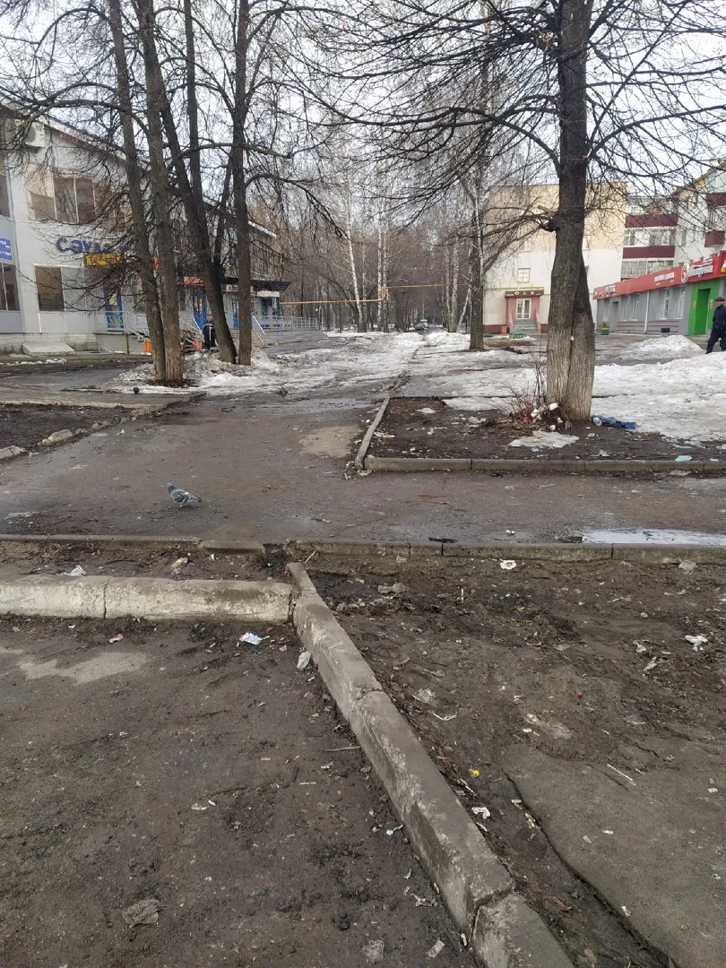 Нечистый Нижнекамск: «Сколько мусора!»