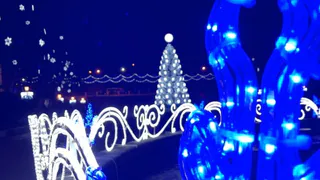 Осталось две недели: в Рязани объявили конкурс на лучшее новогоднее оформление