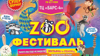 Дом животных «ЗооФестиваль»