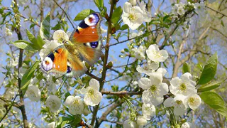Погода на праздничные выходные: из весны в лето и обратно