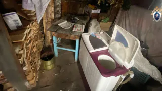 На Южном Урале суд отсрочил наказание женщине, бросившей новорожденного на морозе