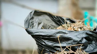 Гольдштейн лично примет участие в общереспубликанском субботнике 26 апреля