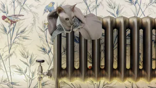 Отапливаю дом с помощью фольги: простой способ с батареями – температура поднимается еще  на 3 градуса, а счета будут меньше