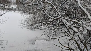 Новый этап расчистки реки Солотча спроектируют за 7 млн рублей