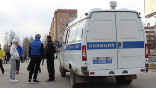 Жительница Коми пожалела, что ткнула курицу пальцем