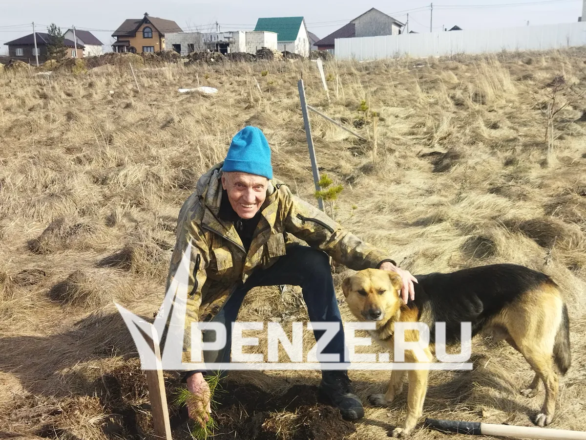 Впервые в Пензе создадут гигантскую надпись из деревьев «Лес Победы»