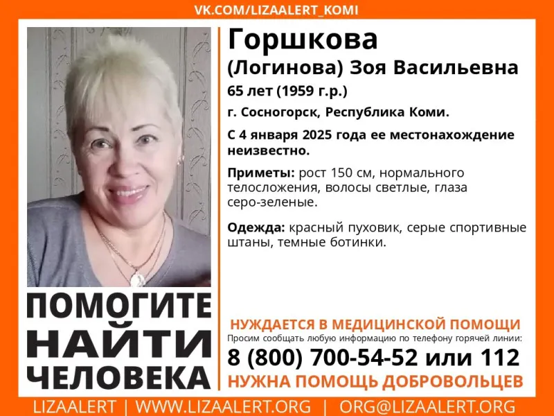 В Коми без вести пропала 65-летняя женщина