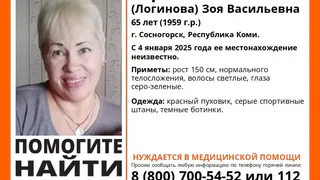 В Коми без вести пропала 65-летняя женщина