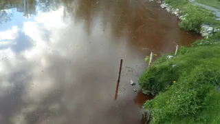 В Касимове 22 мая 2022 водоём в парке побурел