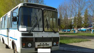 Нижнекамка: «Уберите пазик!»