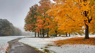 6 ноября в Рязанской области ожидаются осадки, гололедица и -4