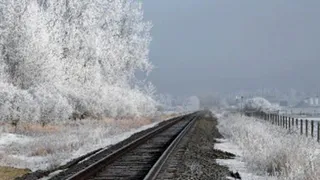 14-летняя девочка погибла под колесами грузового поезда в Брянской области