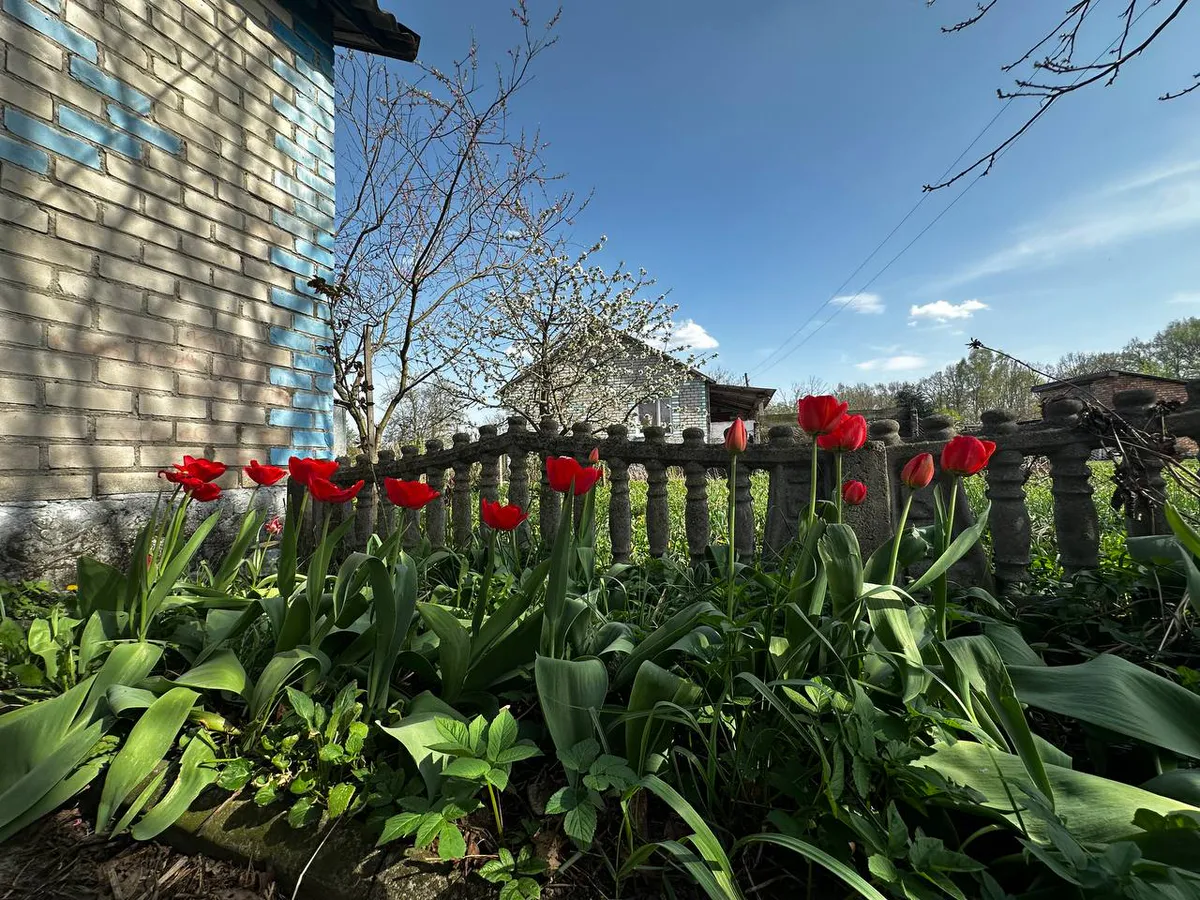 «Аномальная жара до +35 вернется». Синоптики дали новый прогноз на ближайшие дни