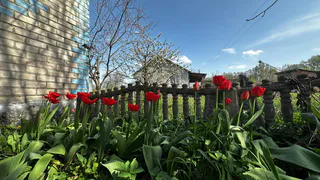 «Аномальная жара до +35 вернется». Синоптики дали новый прогноз на ближайшие дни