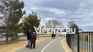 К проекту «Серебряная Пенза» присоединились около 300 пенсионеров