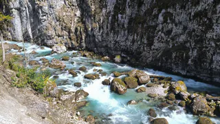 "На пляже мы нашли дохлого дельфина": туристка из РФ честно рассказала об испорченном отдыхе в Абхазии 