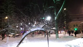 В Рязани осадки отступят, но гололедица продолжится: прогноз погоды на 19 декабря