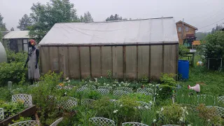 Регистрация теплиц: что изменилось для дачников в 2025 году