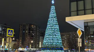 В Челябинской области более 215 тысяч детей получат новогодние подарки от властей