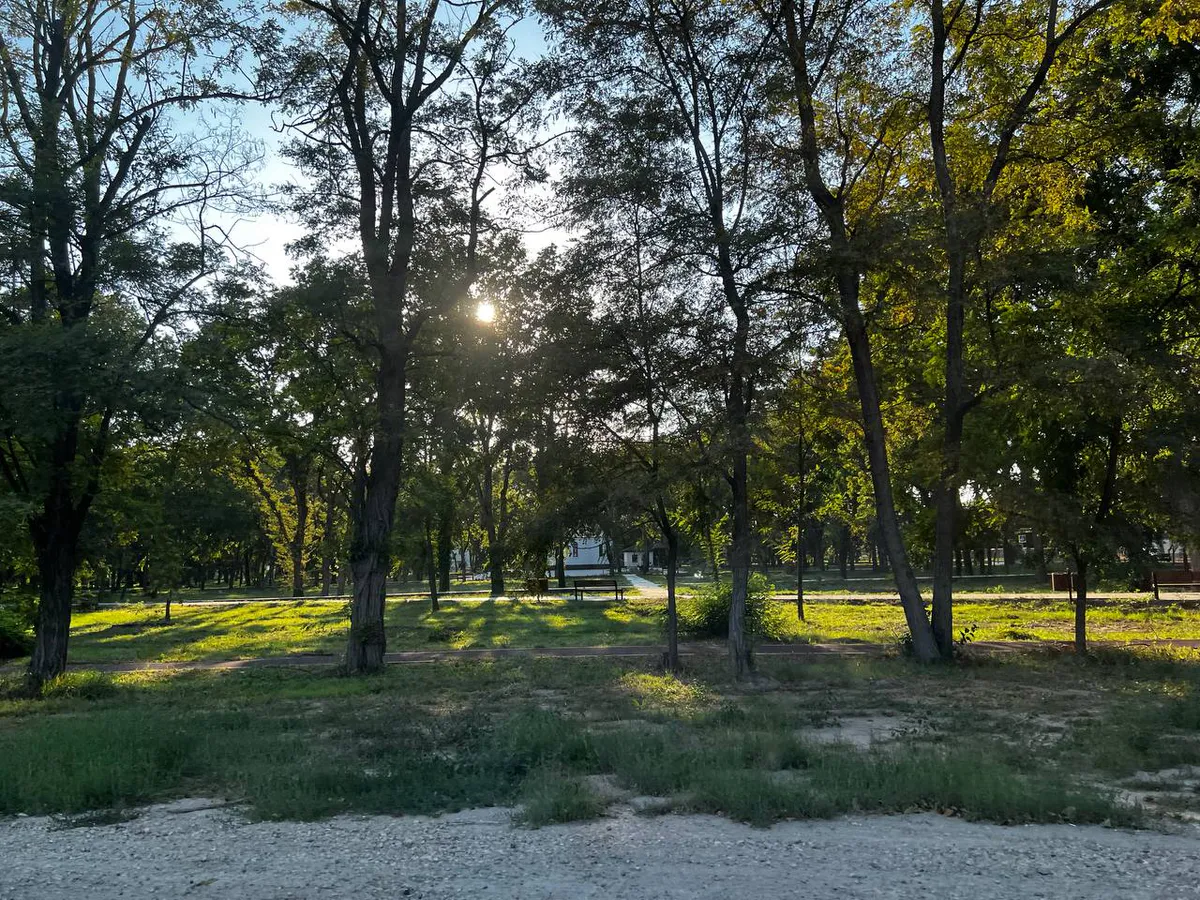 "Это лето войдет в историю": Роман Вильфанд обновил прогноз, и рассказал к чему нужно быть готовым россиянам