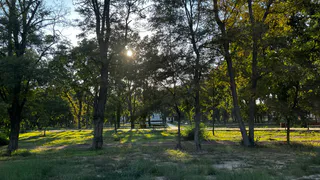 "Это лето войдет в историю": Роман Вильфанд обновил прогноз, и рассказал к чему нужно быть готовым россиянам