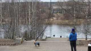 Выпадет выигрышный лотерейный билет: Павел Глоба предсказал одному знаку в ноябре стать суперзвездой