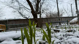 Прощай, дождливый октябрь: синоптики рассказали, что ждет россиян на ноябрьские праздники - точный прогноз