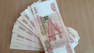 В Александрове «липового» директора ждёт штраф в 300 тысяч рублей за фиктивные фирмы