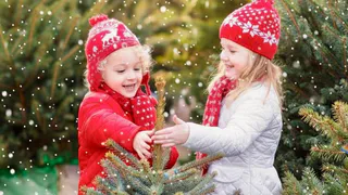 График работы ёлочных базаров в Нижнекамске