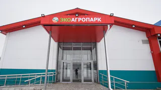 Без оплаты за аренду: самозанятым предоставили бесплатные торговые места