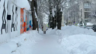 Шторм, снегопады, мороз? Чем россиян удивит зима перед уходом: синоптик честно ответил