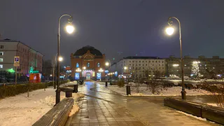 Купите лотерейный билет: кто по прогнозу астролога Глобы обретет денежную фортуну с 30 марта