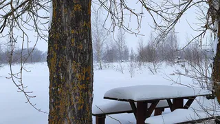 В Суздальском районе снесли незаконную базу отдыха на берегу озера