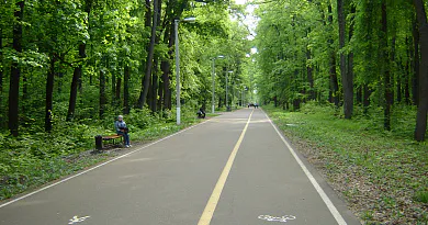 С 5 октября в Пензе Олимпийская аллея будет закрыта для посещения