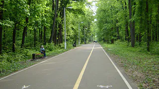 С 5 октября в Пензе Олимпийская аллея будет закрыта для посещения