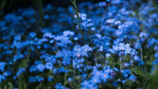 Стрельцы на пороге удачи: Тамара Глоба раскрыла главные возможности второй половины 2025 года