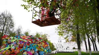 Во Владимире нарядили пасхальное дерево