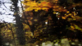 В Челябинской области 24 октября прогнозируют дождливую погоду