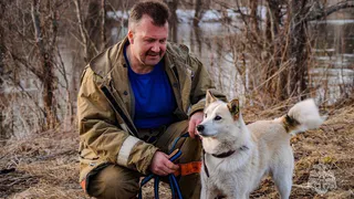 В России сотрудники МЧС смогли спасти собаку при помощи сосисок