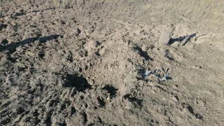 Александр Богомаз сообщил об обстреле Климовского района со стороны Украины