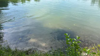 В Пензенской области создадут комиссию для подготовки к половодью