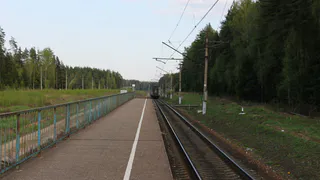 Слабоумие и отвага: двое рязанцев пытались украсть детали с железнодорожной платформы