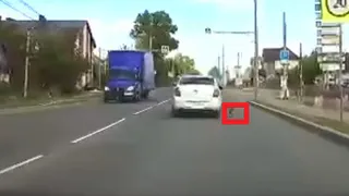 Ненужная преданность: брошенная собака бежала за авто хозяйки