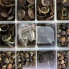 Женщину из Владимира осудили за незаконные раскопки старинных монет