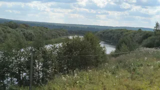 Синоптики рассказали о погоде в Коми на сегодня, 31 августа